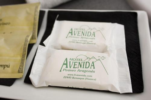Hotel Avenida Benasque Eksteriør billede