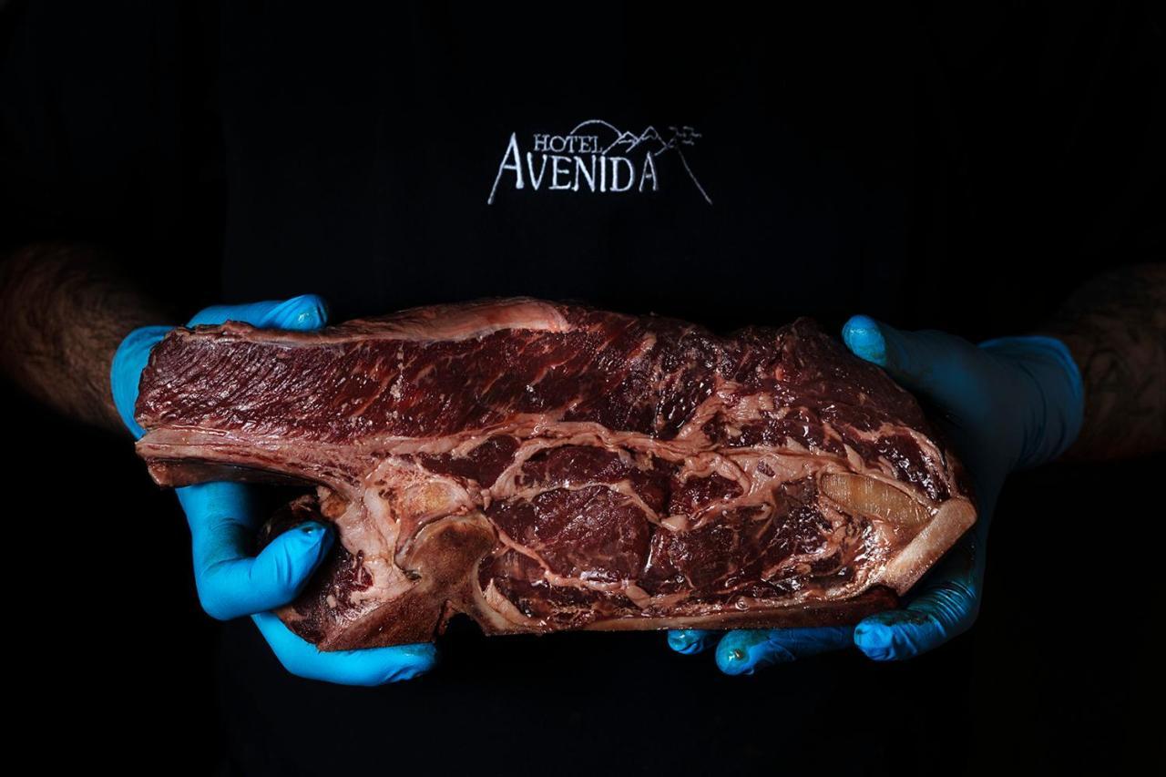 Hotel Avenida Benasque Eksteriør billede